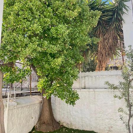 Modern 3Br Maisonette With Garden 10 Min From Acropolis Athens Ngoại thất bức ảnh